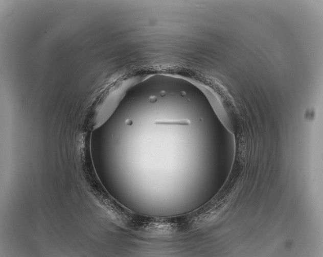 X0000096150260200801251111