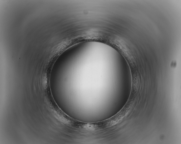 X0000096150261200801251111