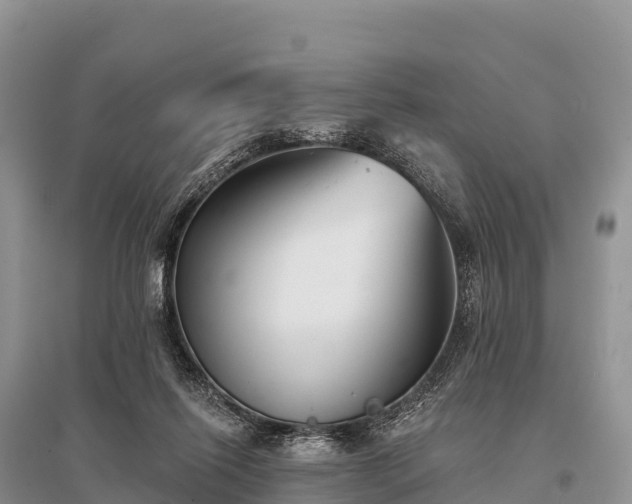 X0000096150262200801251111