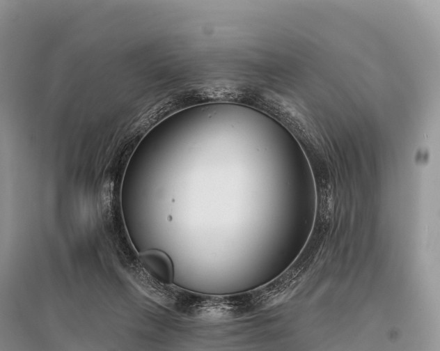 X0000096150263200801251111