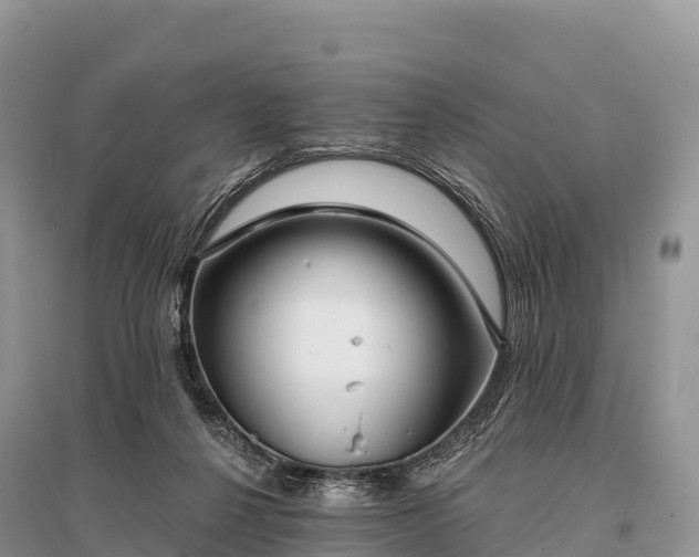 X0000096150264200801251111