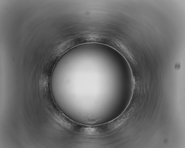 X0000096150265200801251111