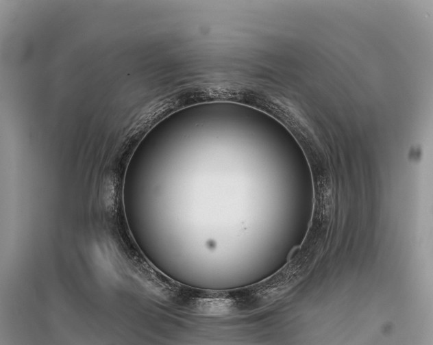 X0000096150266200801251111