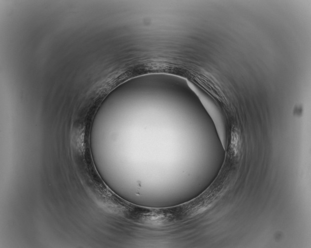 X0000096150267200801251111