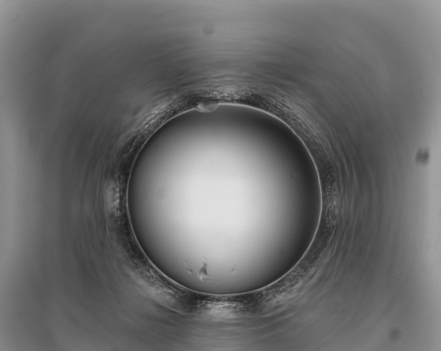X0000096150268200801251111
