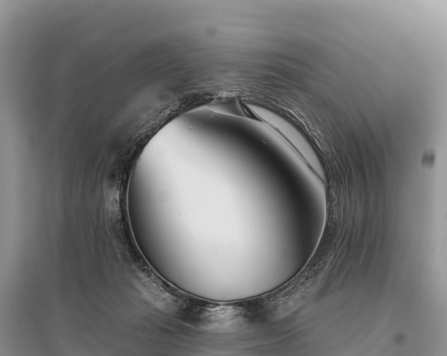 X0000096150269200801251111