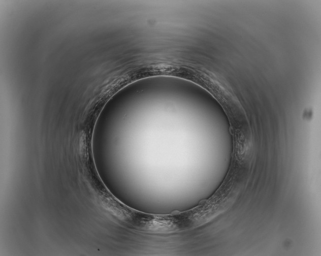 X0000096150270200801251111