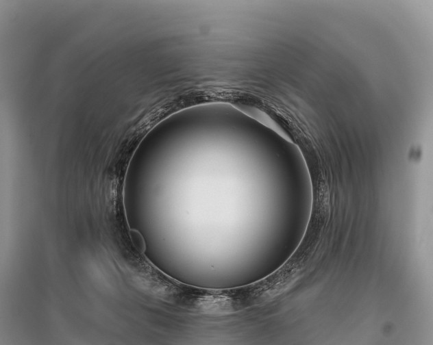 X0000096150271200801251111