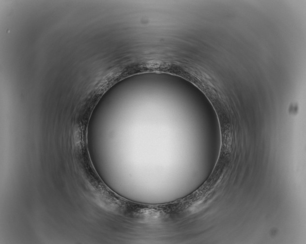 X0000096150272200801251111