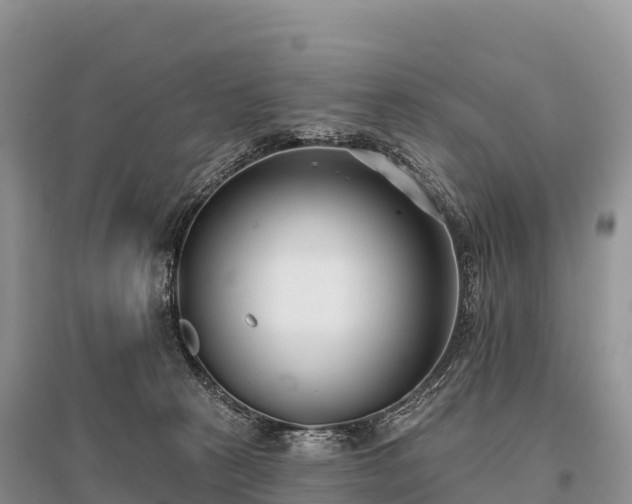 X0000096150273200801251111