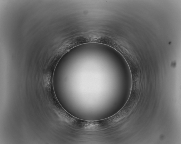 X0000096150274200801251111