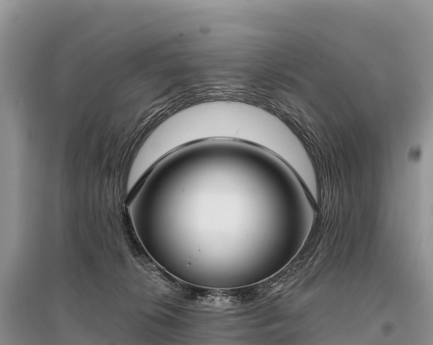 X0000096150276200801251111