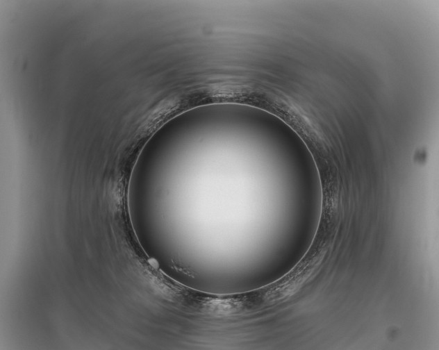 X0000096150277200801251111