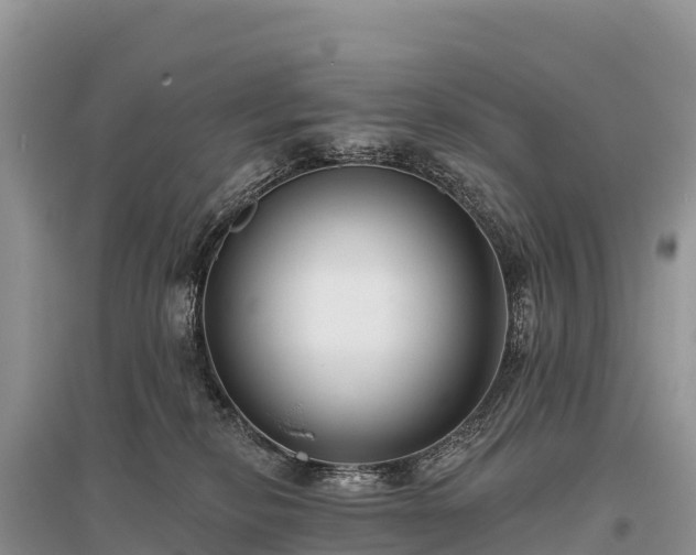 X0000096150278200801251111