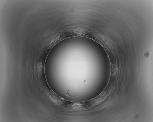 X0000096150279200801251111