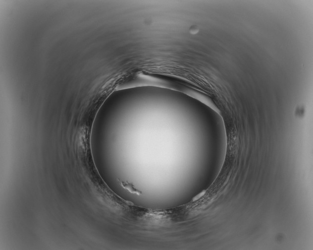 X0000096150280200801251112
