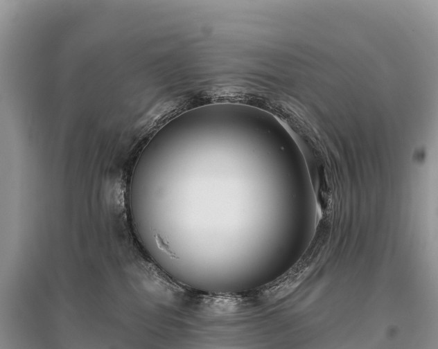 X0000096150282200801251112