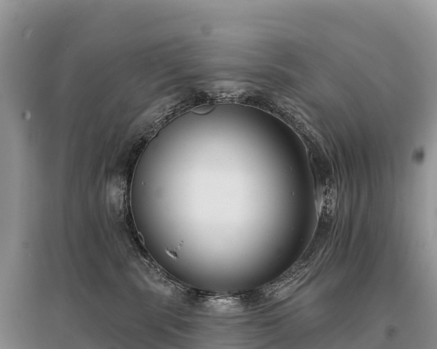 X0000096150283200801251112