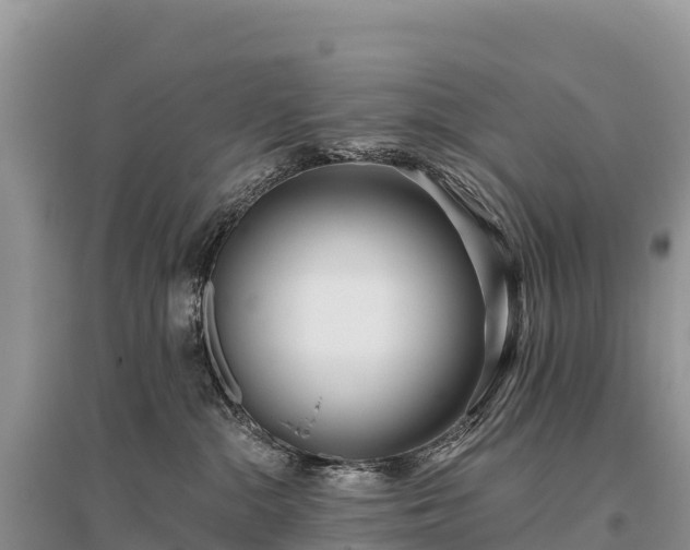 X0000096150284200801251112