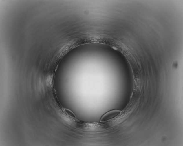 X0000096150286200801251112