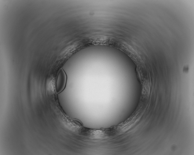 X0000096150287200801251112