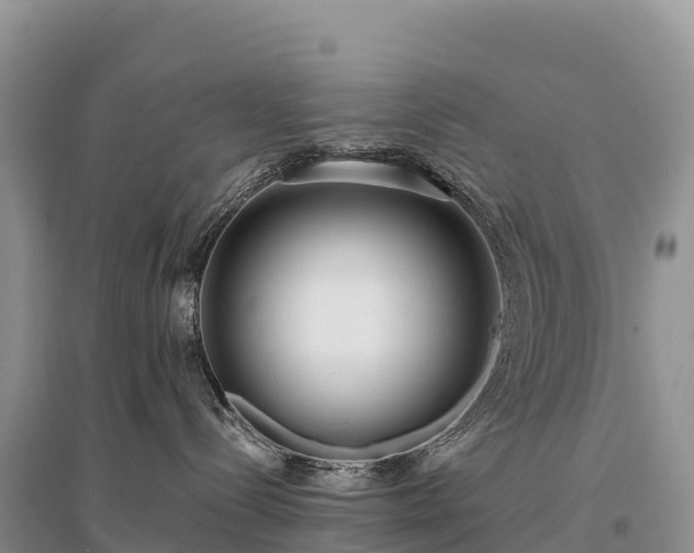 X0000096150288200801251112