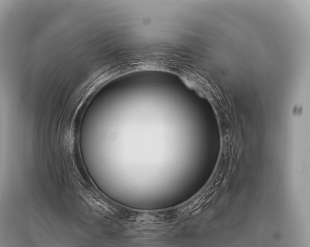 X0000096150290200801251111
