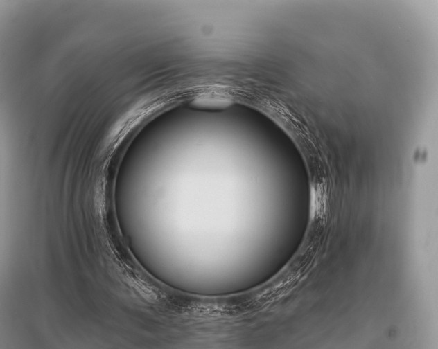 X0000096150291200801251111