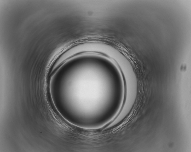 X0000096150293200801251111