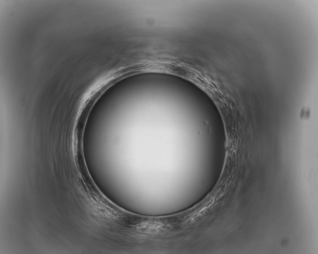 X0000096150294200801251111