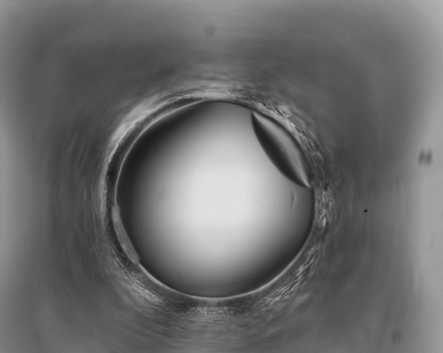 X0000096150296200801251111