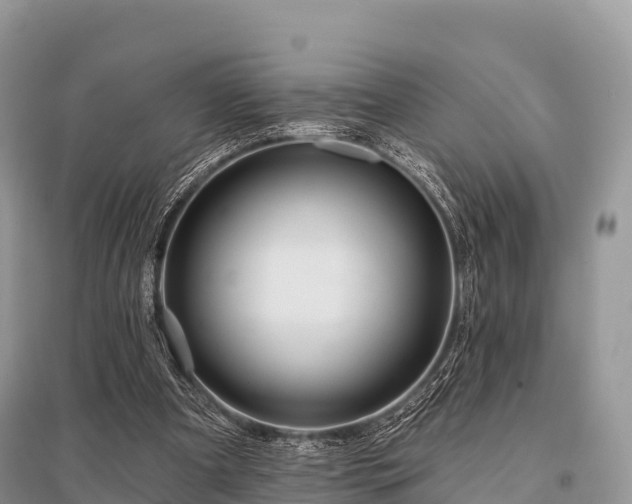 X0000096150297200801251111