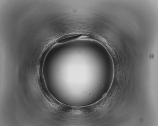 X0000096150299200801251111