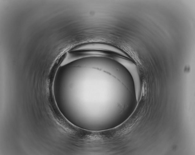 X0000096150300200801251111