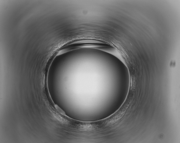 X0000096150301200801251111