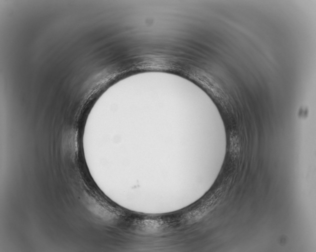 X0000096150302200801251110