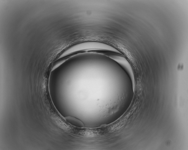 X0000096150305200801251110