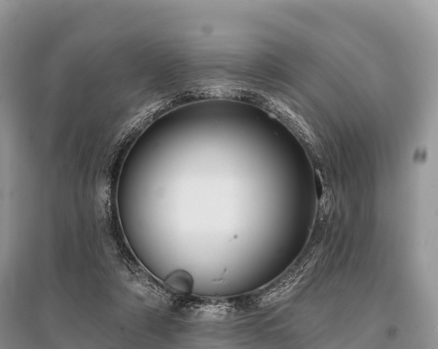 X0000096150306200801251110