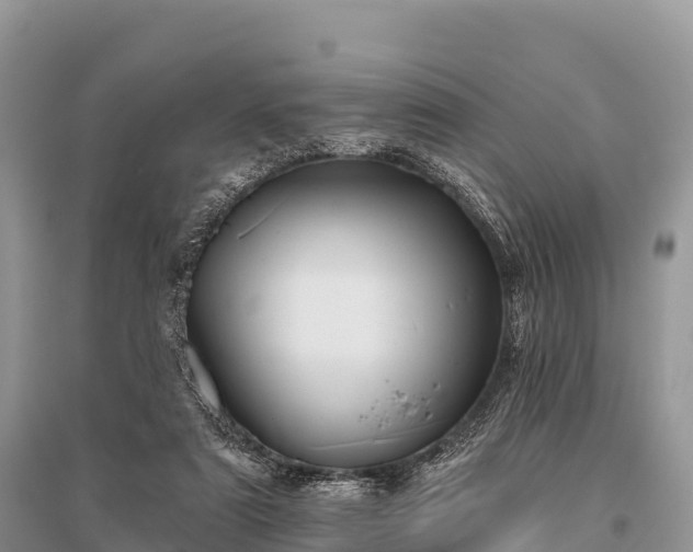 X0000096150307200801251110