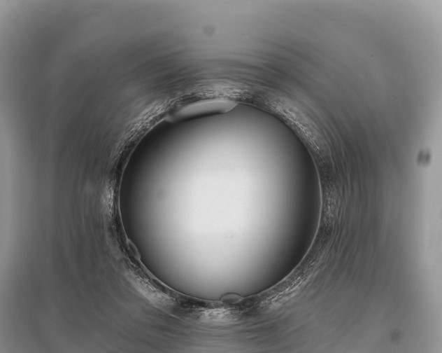 X0000096150309200801251110