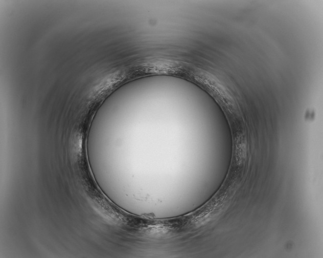 X0000096150310200801251110