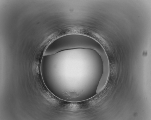 X0000096150313200801251110