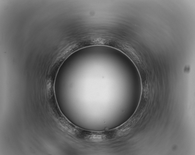 X0000096150314200801251110
