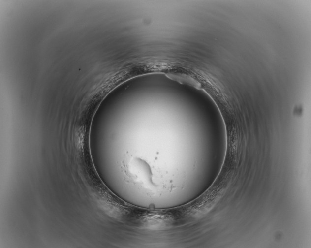 X0000096150315200801251110