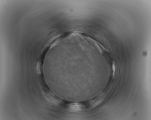 X0000096150316200801251110