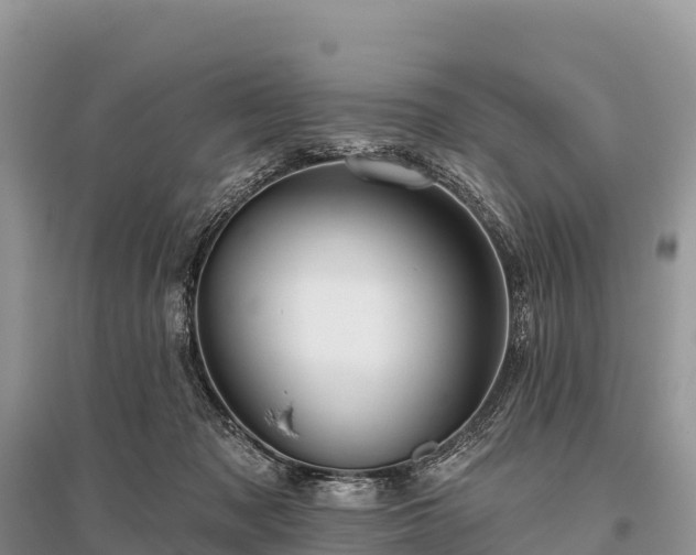 X0000096150317200801251110