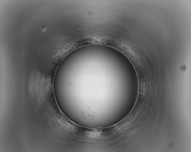 X0000096150318200801251110