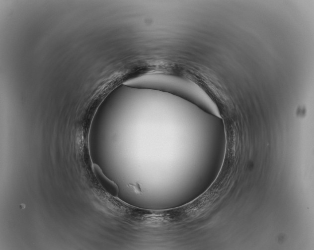 X0000096150320200801251110