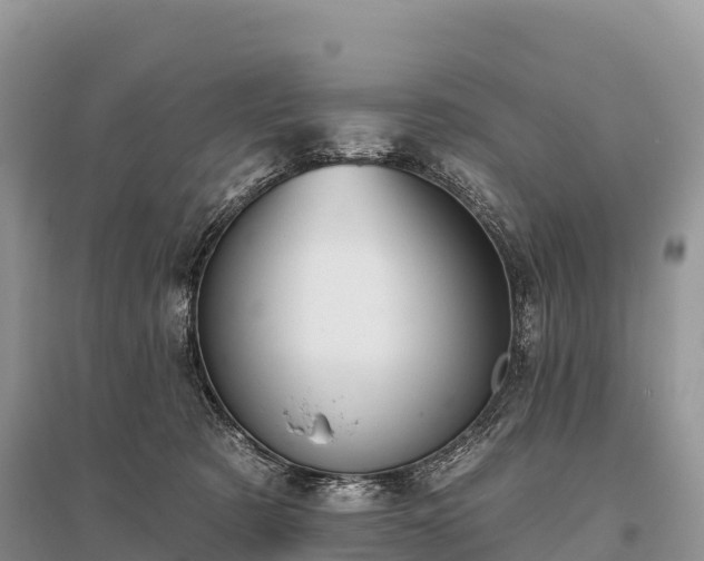 X0000096150321200801251110