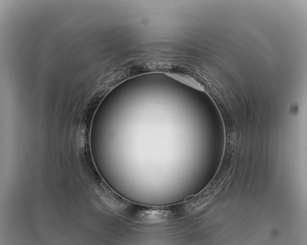 X0000096150323200801251110